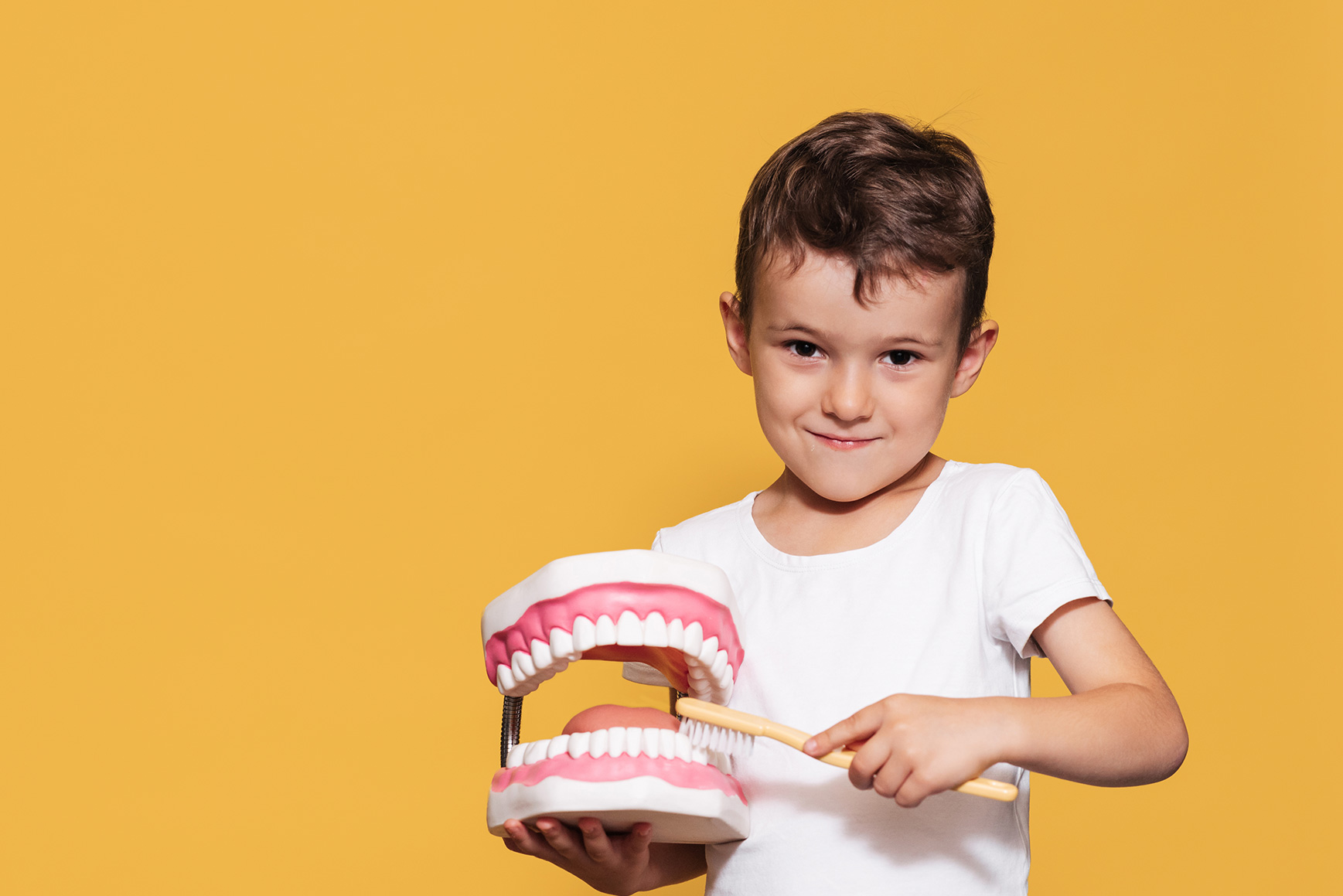 Smile-atelier-homepage-banner-1737x1159-02